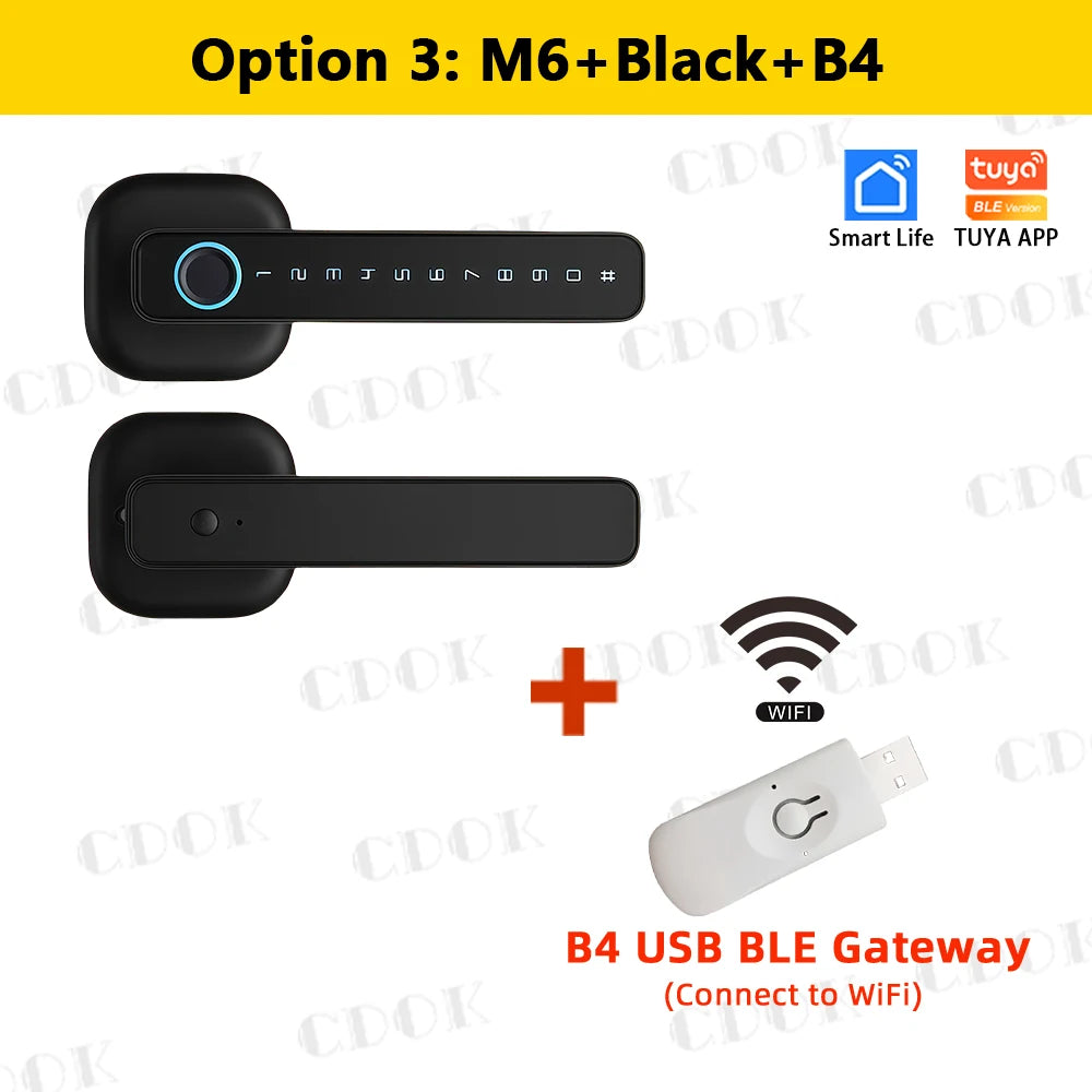 CDOK M6 SecureAccess Smart Lock