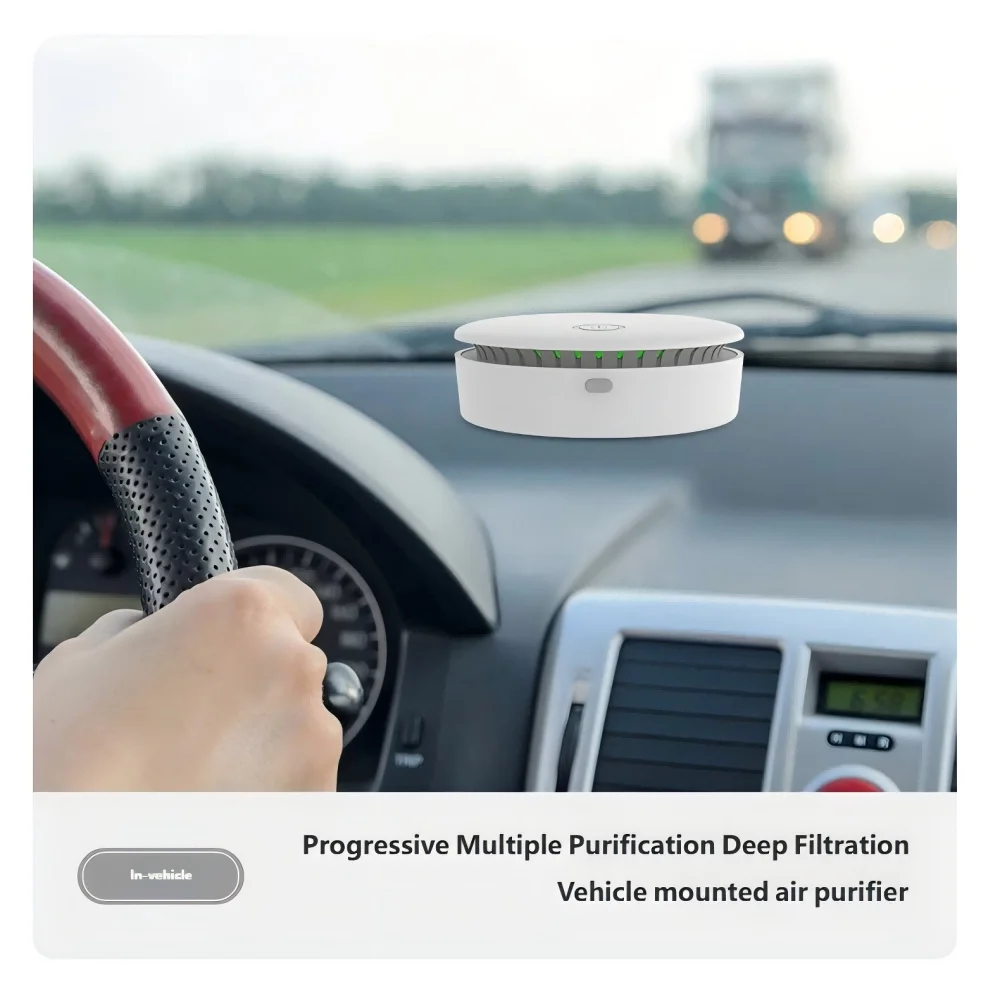 HOMEFISH AirPure Duo Pro